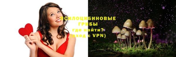 амф Вязьма