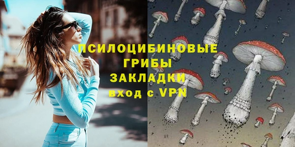 mdpv Вяземский