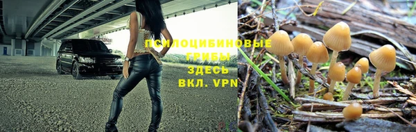 mdpv Вяземский