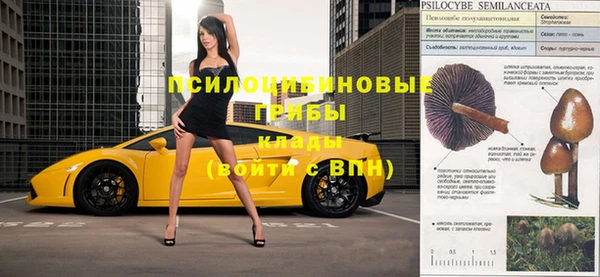 mdpv Вяземский
