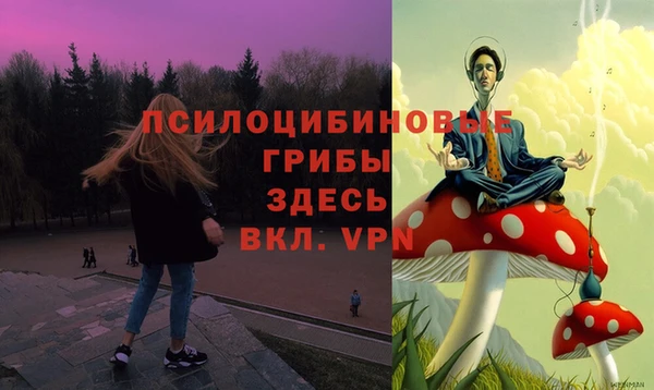 mdpv Вяземский