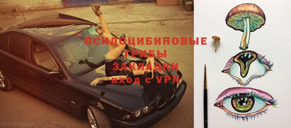 амф Вязьма