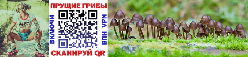Псилоцибиновые грибы Magic Shrooms  купить закладку  Пермь 